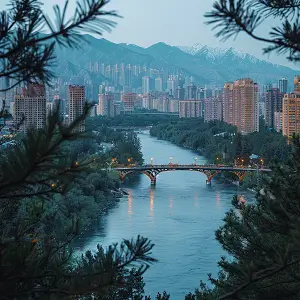 宇树科技怎么这么厉害